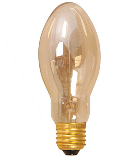 BT70 Oval bullet Vintage edison bulbs