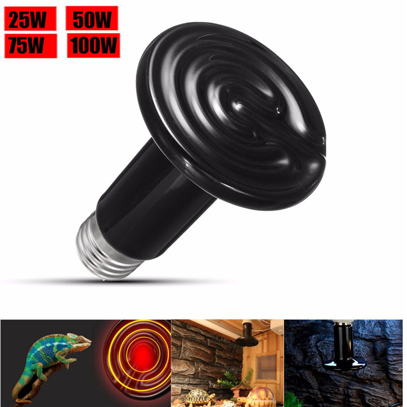 Black Pet reptile heat lamp bulb